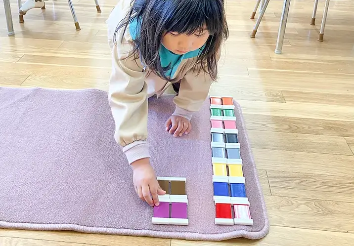 イメージ：色板