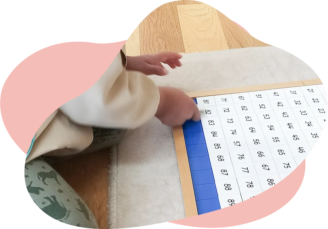 イメージ：園児の数教育