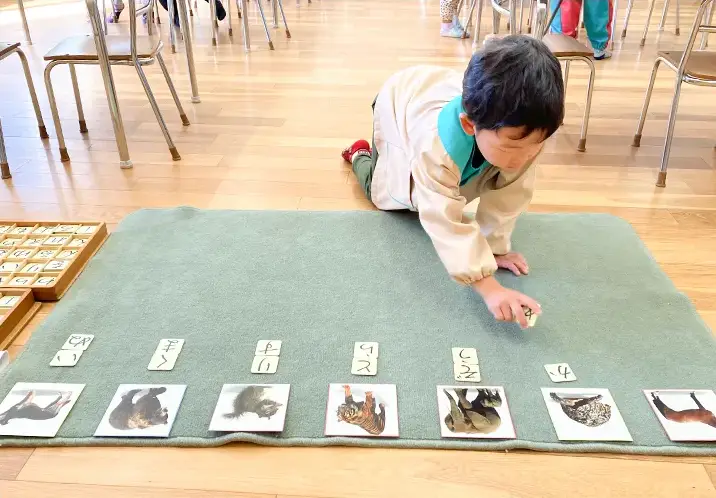 イメージ：単語並べ