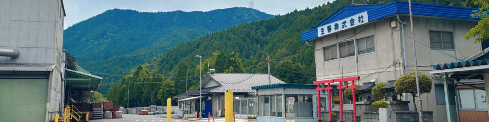 企業情報